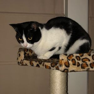 Meet your Posher, Alex